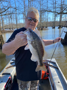 Bass Angling for the best day yet In Tennessee!